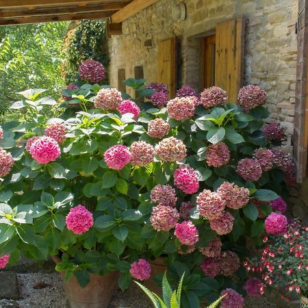 Casa La Valle, Gubbio, Frazione Santa Cristina Bed & Breakfast Екстериор снимка