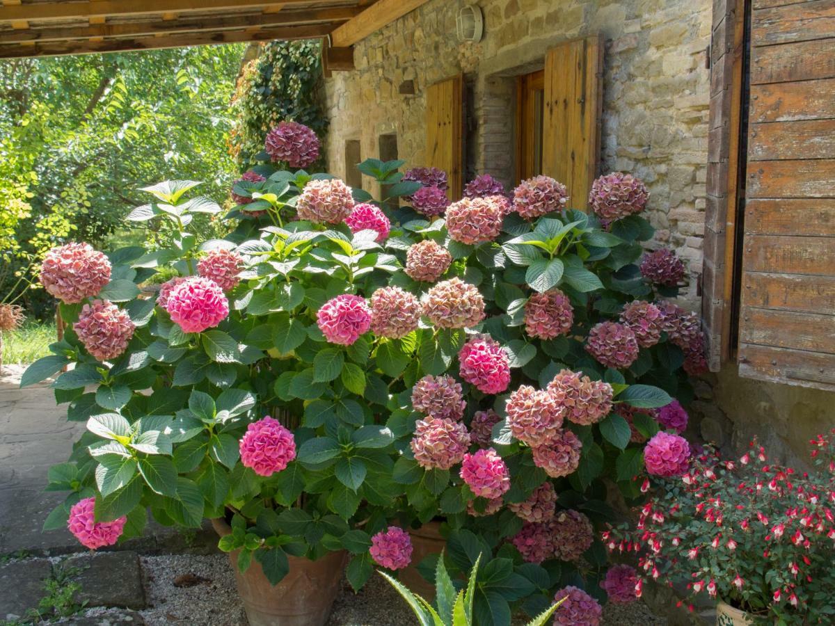 Casa La Valle, Gubbio, Frazione Santa Cristina Bed & Breakfast Екстериор снимка